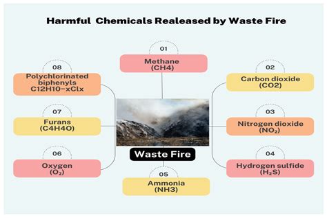 what toxins are present in china